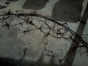 IMG_20120122_125640.jpg